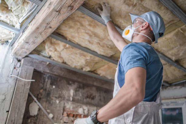 Best Fiberglass Insulation in Eleanor, WV