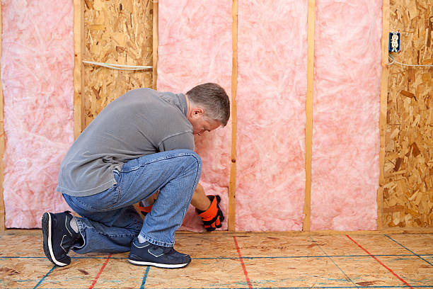 Best Spray Foam Insulation in Eleanor, WV